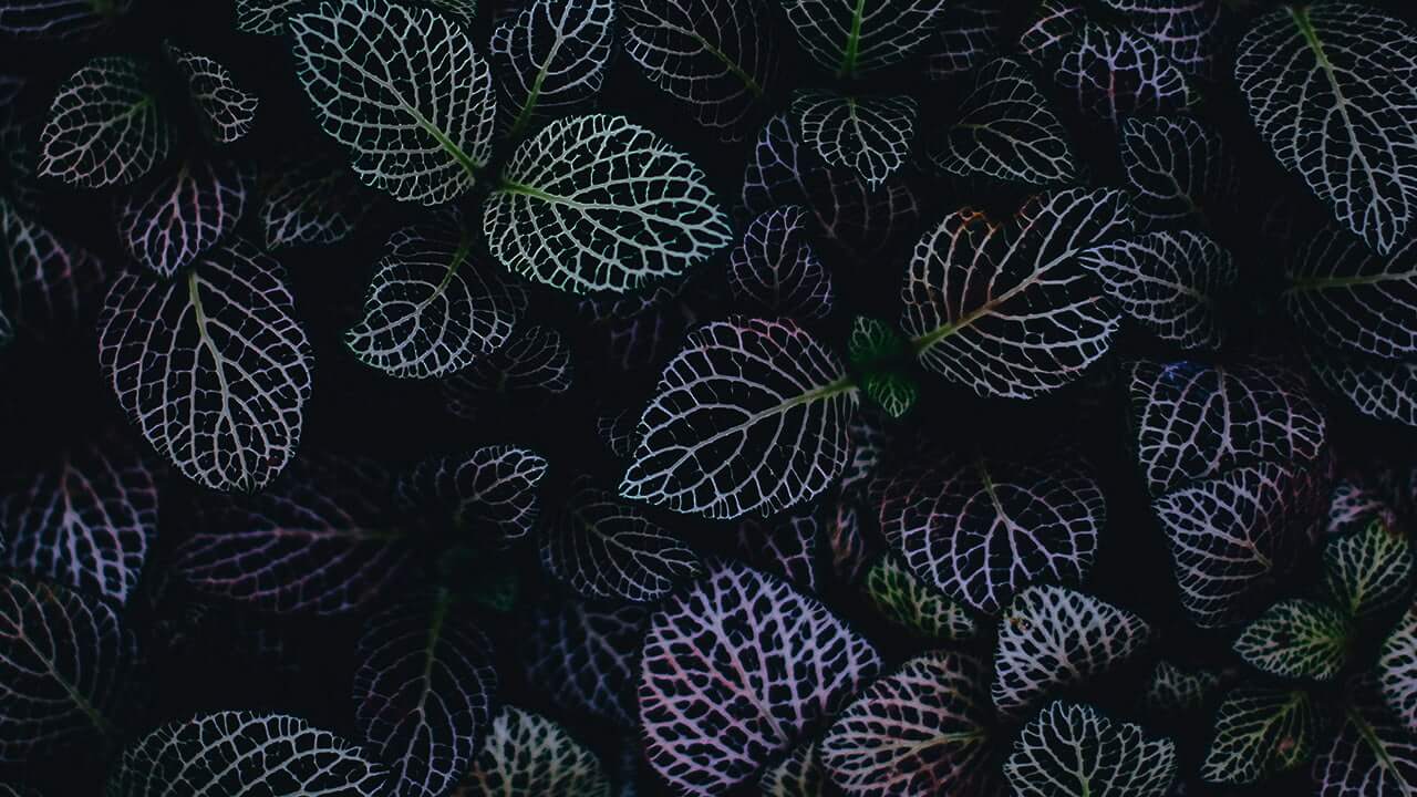 The Benefits of Hiring an IT Consulting Firm for Your Business: What You Need to Know